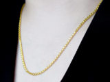 Pul Zincir Altın Kolye