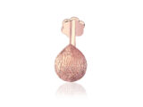 Coco Major Tragus