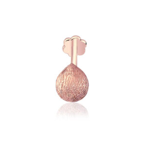 Coco Major Tragus
