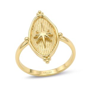 Sovereign Lodestar